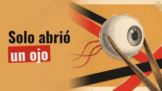 Alcmeón: el médico que puso el pensamiento en el cerebro